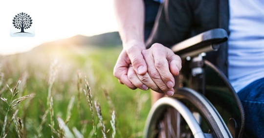 person helping another person on wheelchair