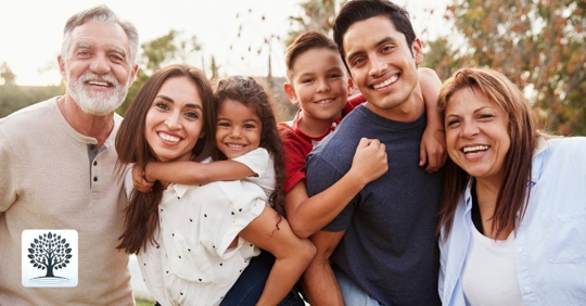 blended family