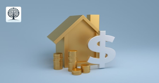 wealth and assets